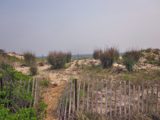 beach + fort tilden
