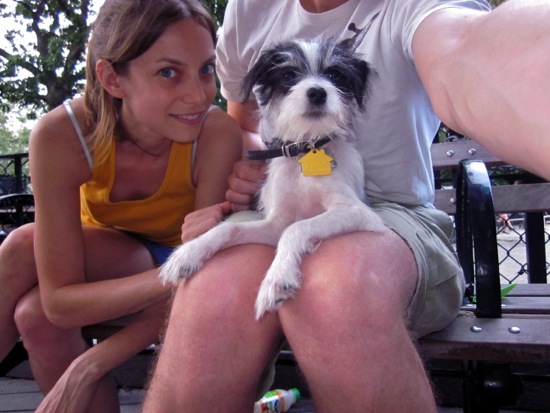dog park