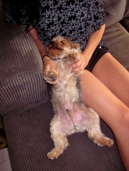 leigh
