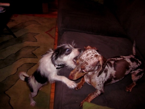 bite