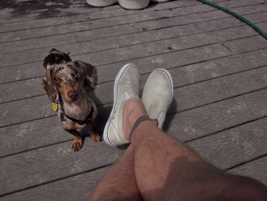 shoes