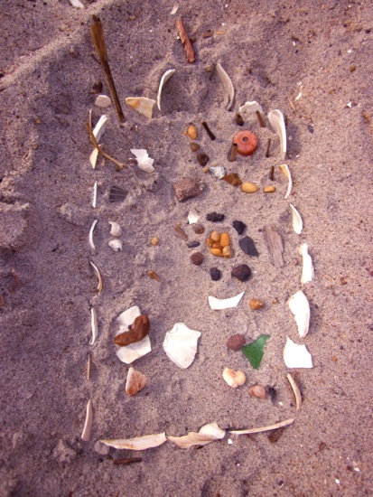 seashell