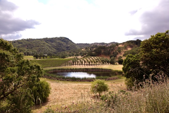 scenic overlook