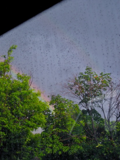 rain