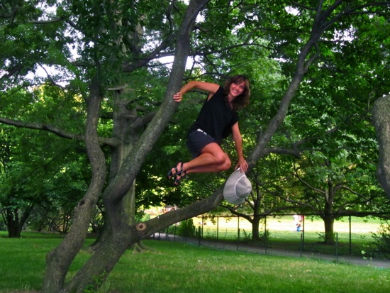 tree