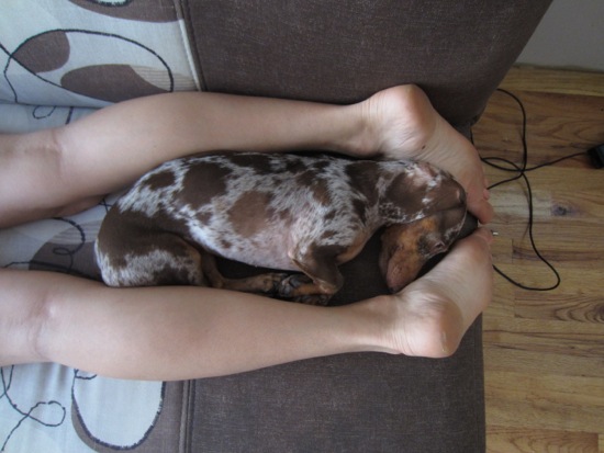 asleep