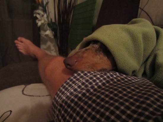 asleep