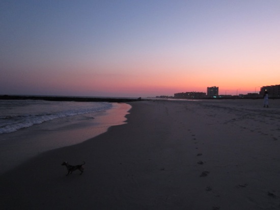 sunset