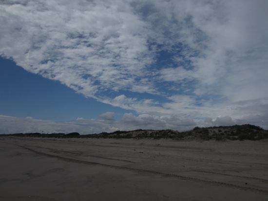 beach + fort tilden