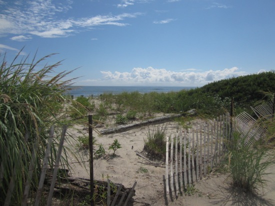 beach + fort tilden