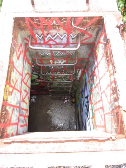 ladder