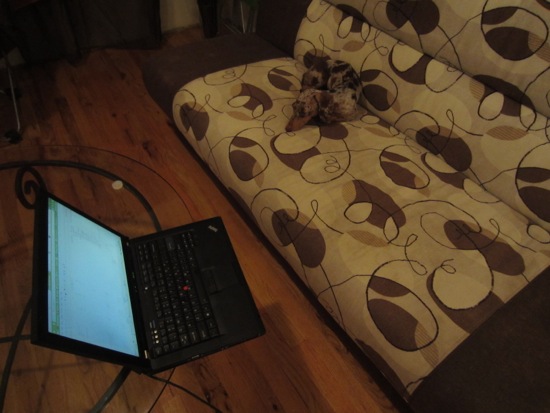 laptop