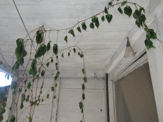 porch