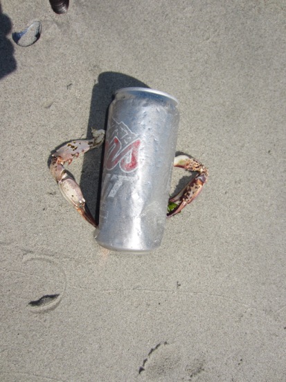 trash