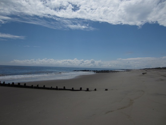beach + fort tilden
