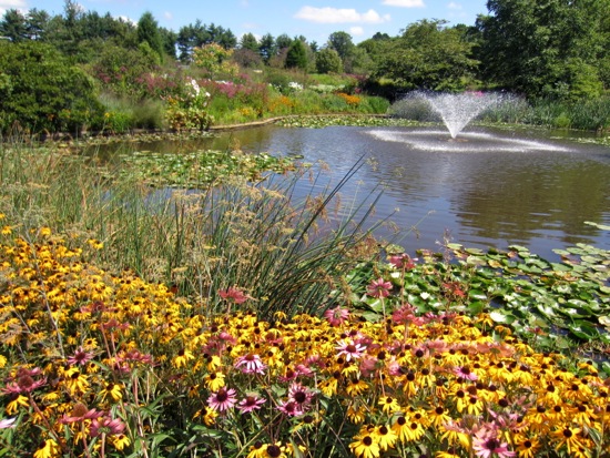 garden