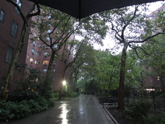 rain