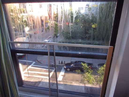 window