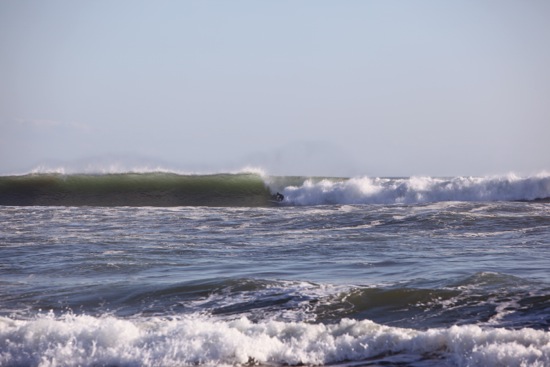 panga drops
