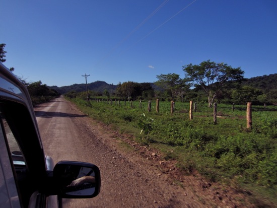 driving