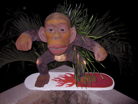 monkey