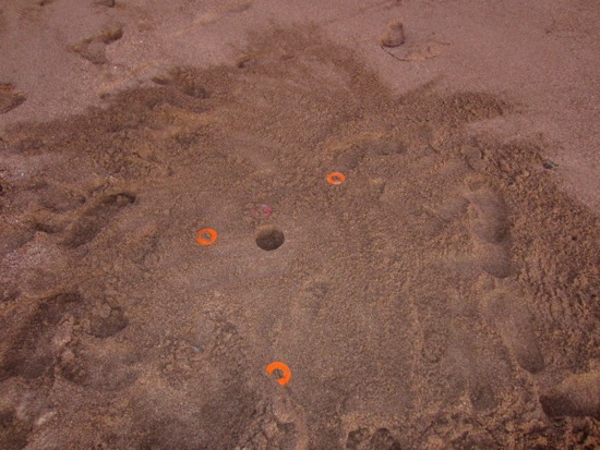 beach