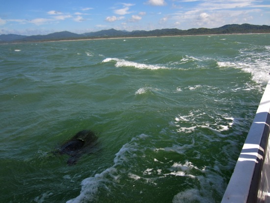 boat