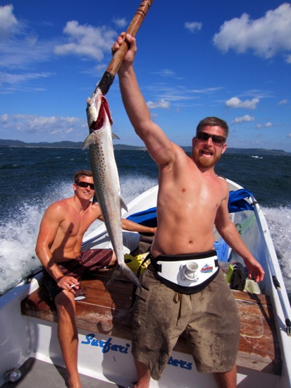 fish