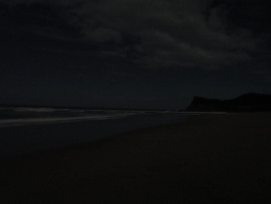 night