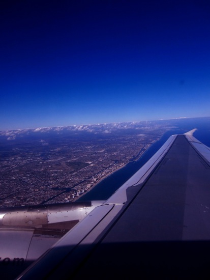 wing