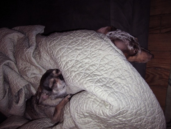 asleep