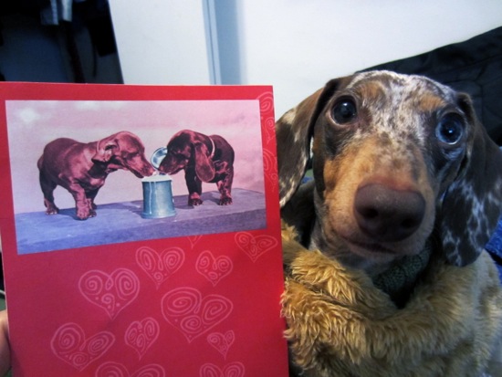 valentines