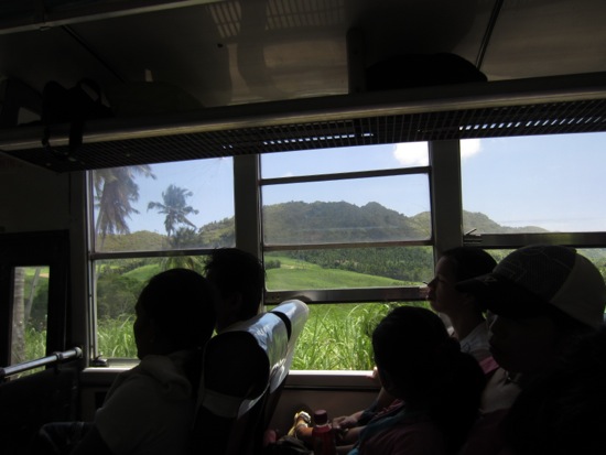 bus