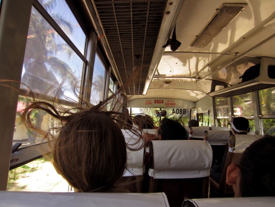 bus