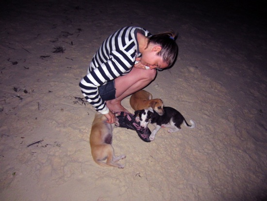 puppy