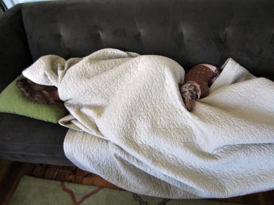 asleep