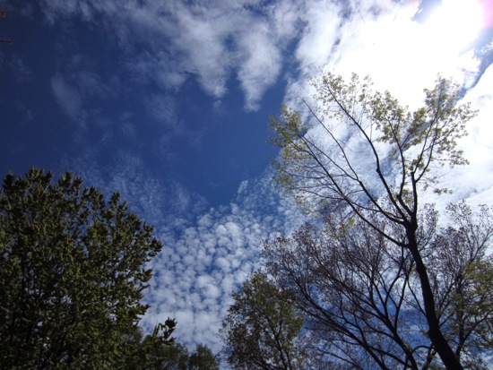 clouds