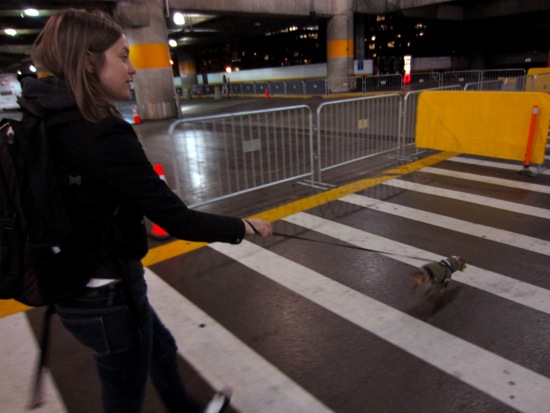 crosswalk