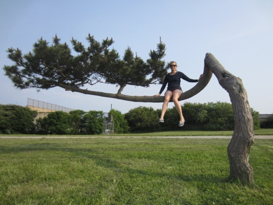tree