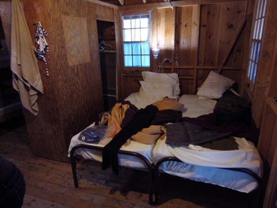 bed