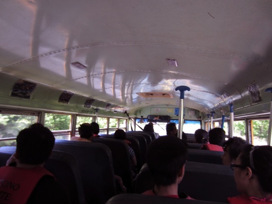 bus