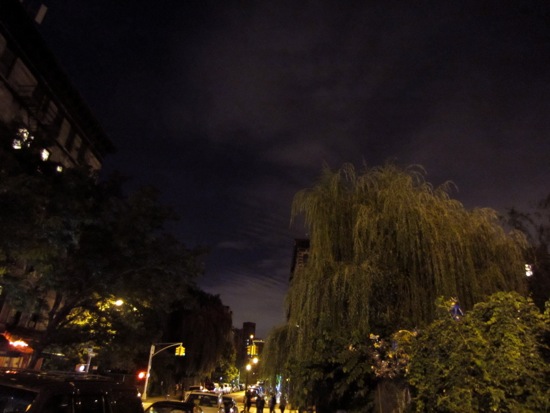 tree
