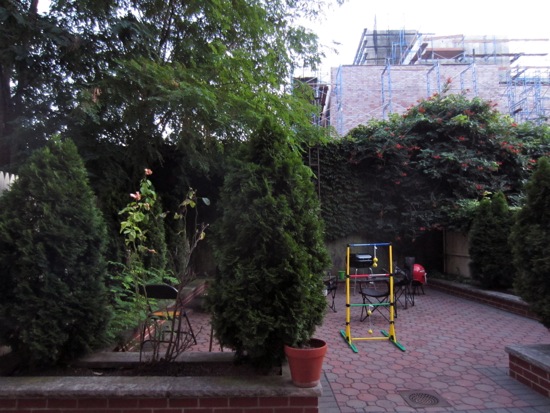 backyard
