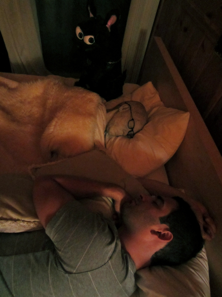 bed