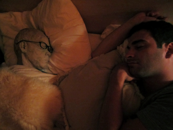 bed