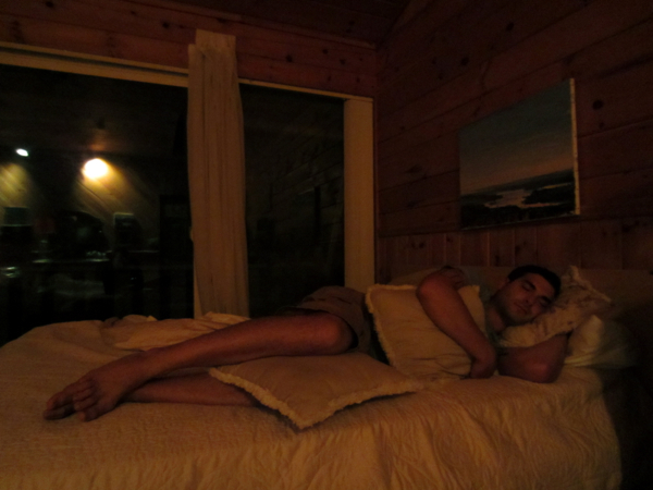 bed
