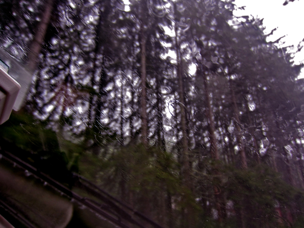 rain