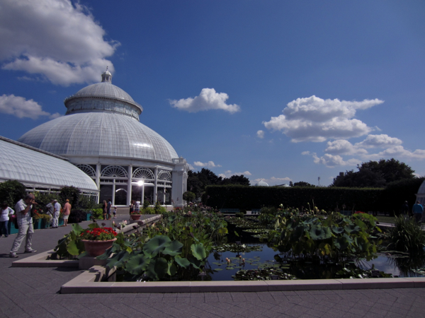 garden