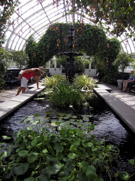 garden