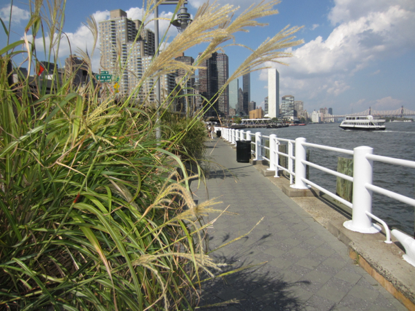east river park